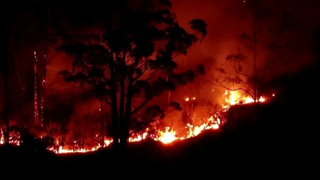173 incendios forestales a nivel nacional hasta la fecha (14/09/2024) afectan a 20 regiones del Perú