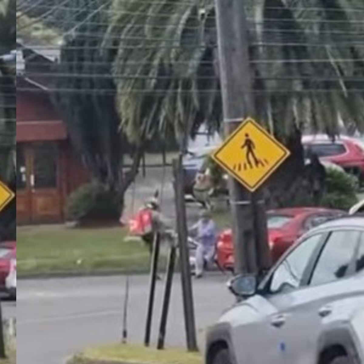 Brutal agresión a adulto mayor en Concepción Brutal agresión a adulto mayor en Concepción