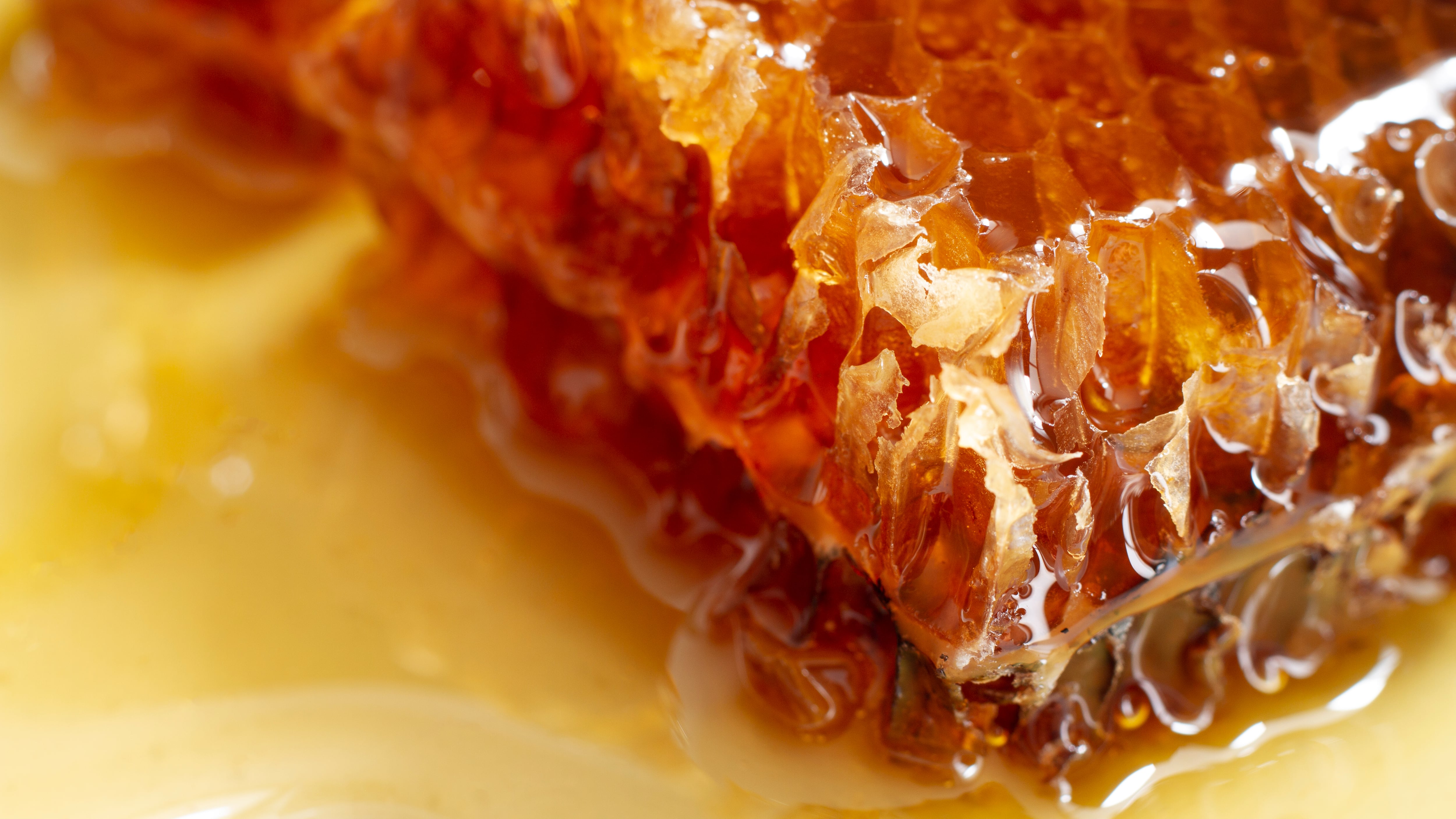 La miel puede aportar varios beneficios para la salud, desde aliviar la tos y el dolor de garganta, hasta ayudar en el tratamiento de heridas. Foto: Mgnific.