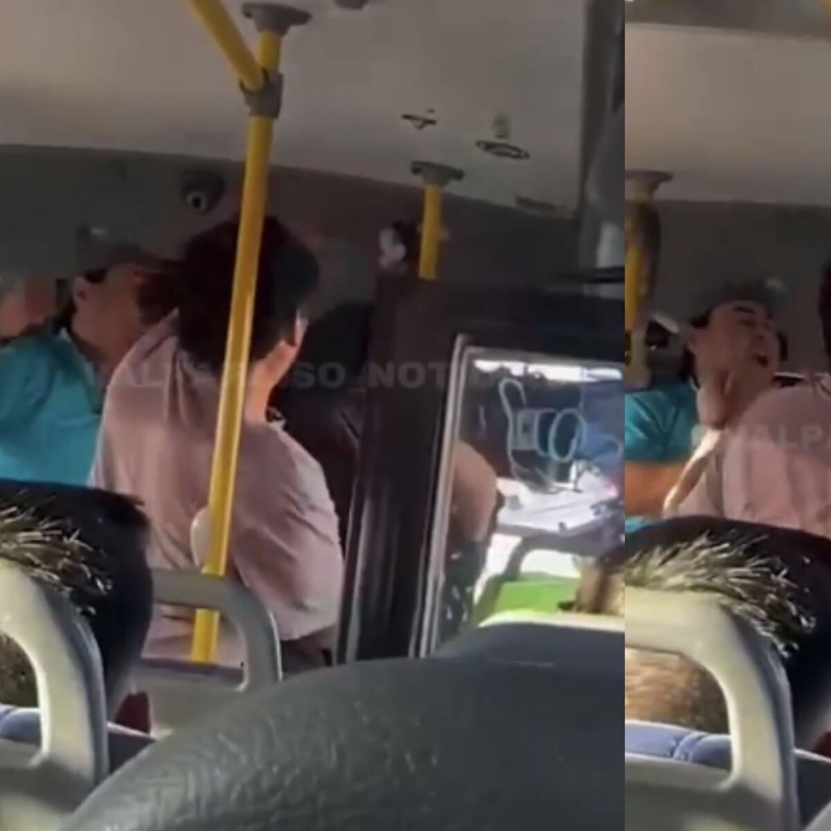 Confederación de Transporte Terrestre defiende al chofer agresor en caso de joven en Viña Confederación de Transporte Terrestre defiende al chofer agresor en caso de joven en Viña