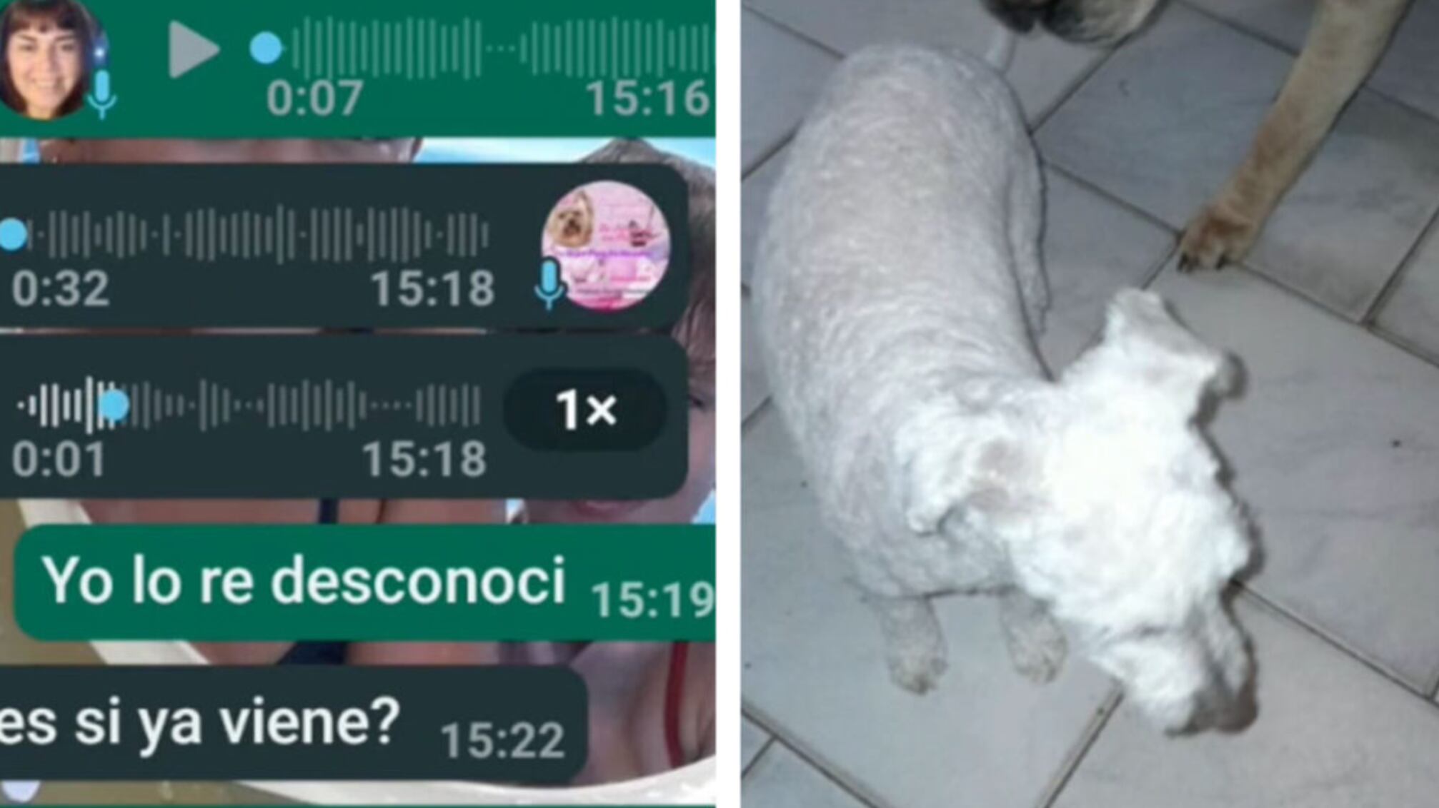 Una situación muy curiosa