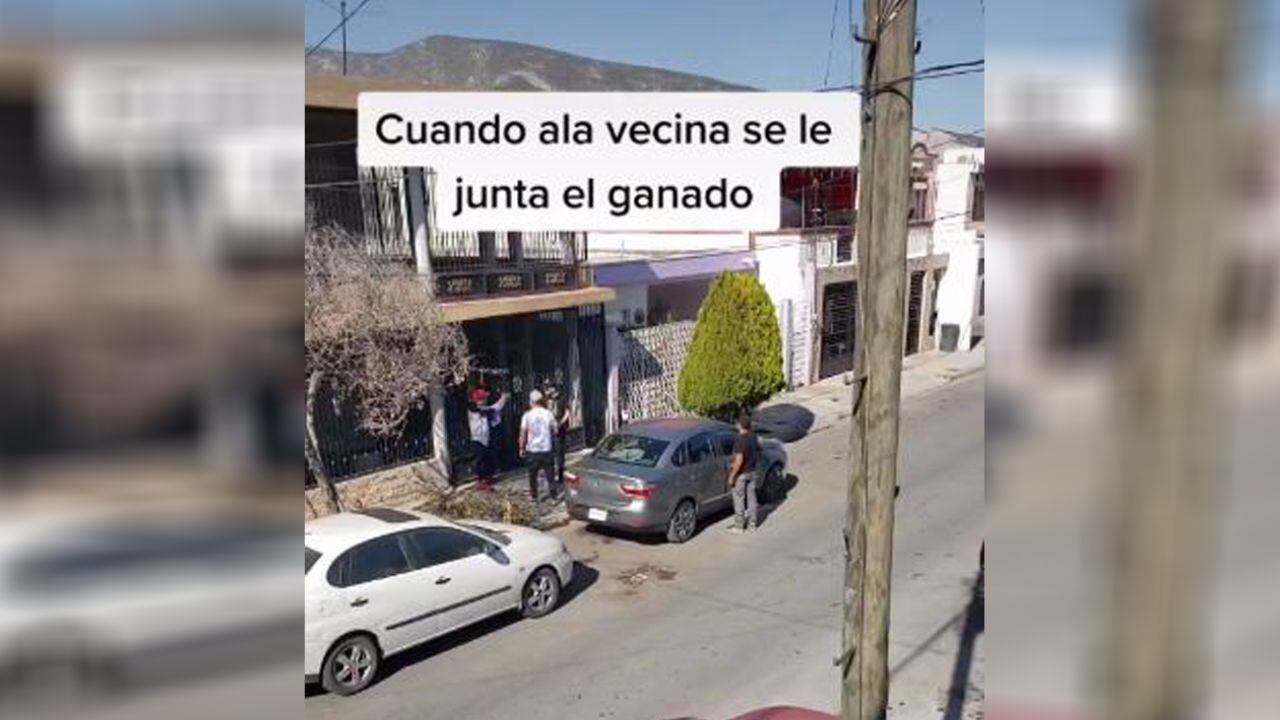 Un vecino grabó la escena incrédulo