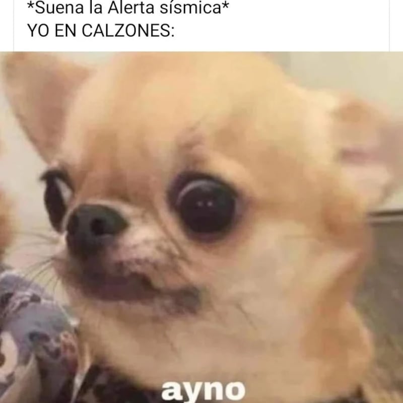 Los mejores memes del sismo del 22 de septiembre.