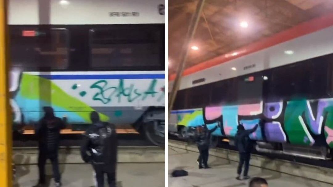 Trenes vandalizado