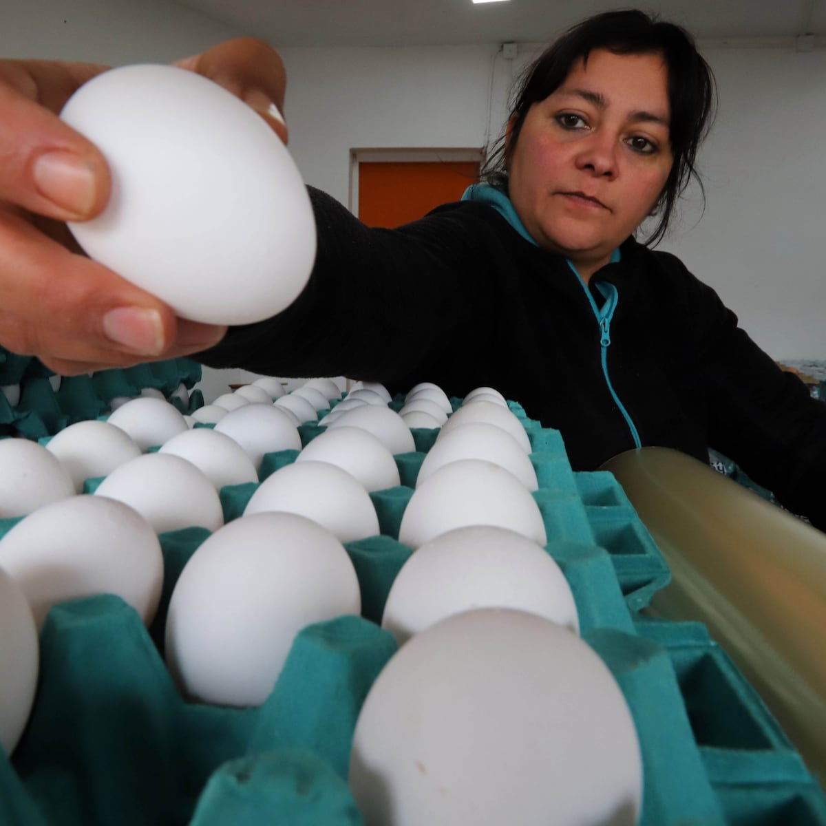 Ministro de Agricultura justifica alza de precios de huevos por falta de luz Ministro de Agricultura justifica alza de precios de huevos por falta de luz