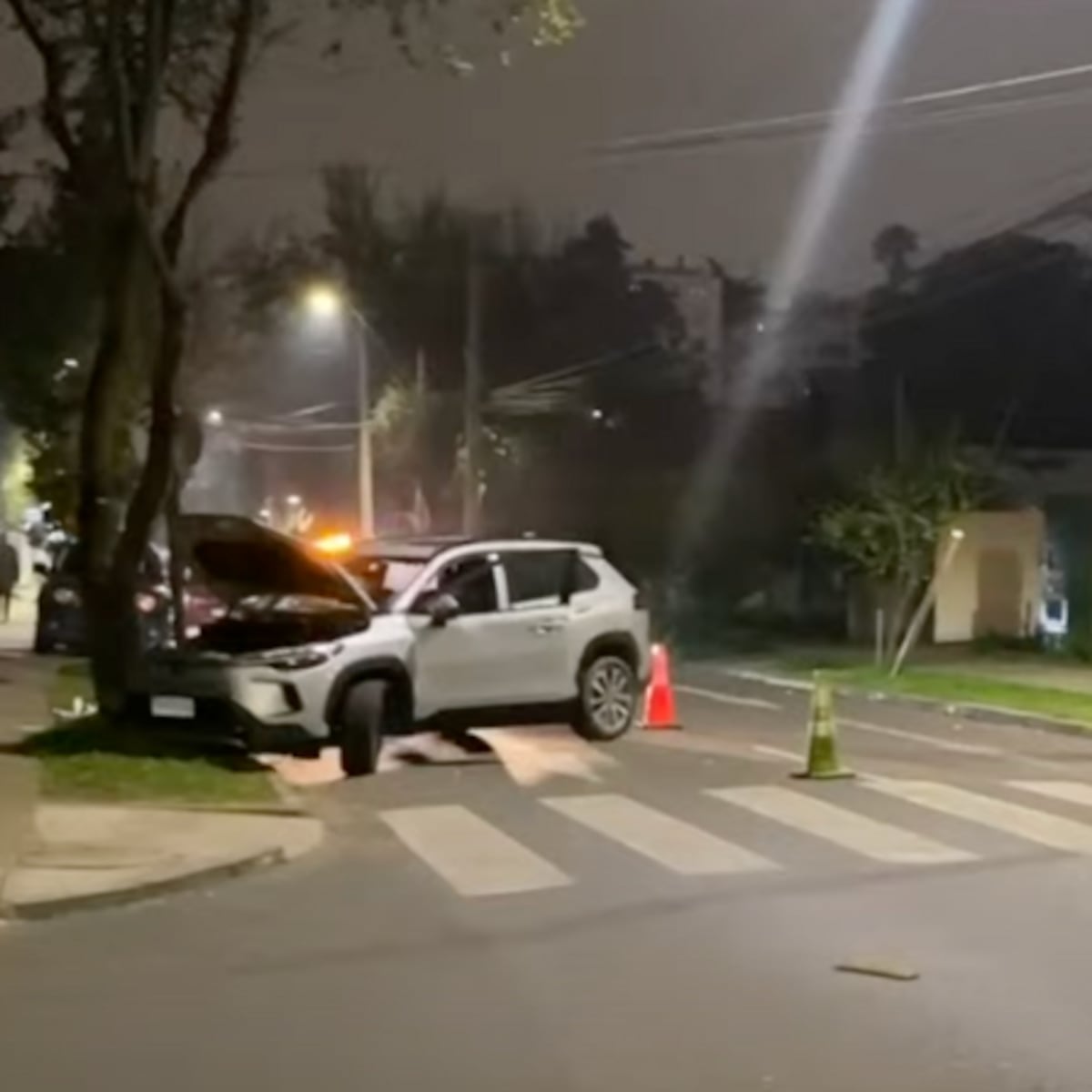 Detienen a cinco adolescentes por portonazo en La Reina Detienen a cinco adolescentes por portonazo en La Reina