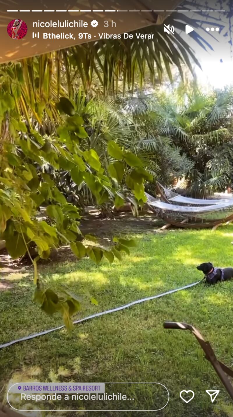 Historia de Nicole Moreno | Fuente: Instagram