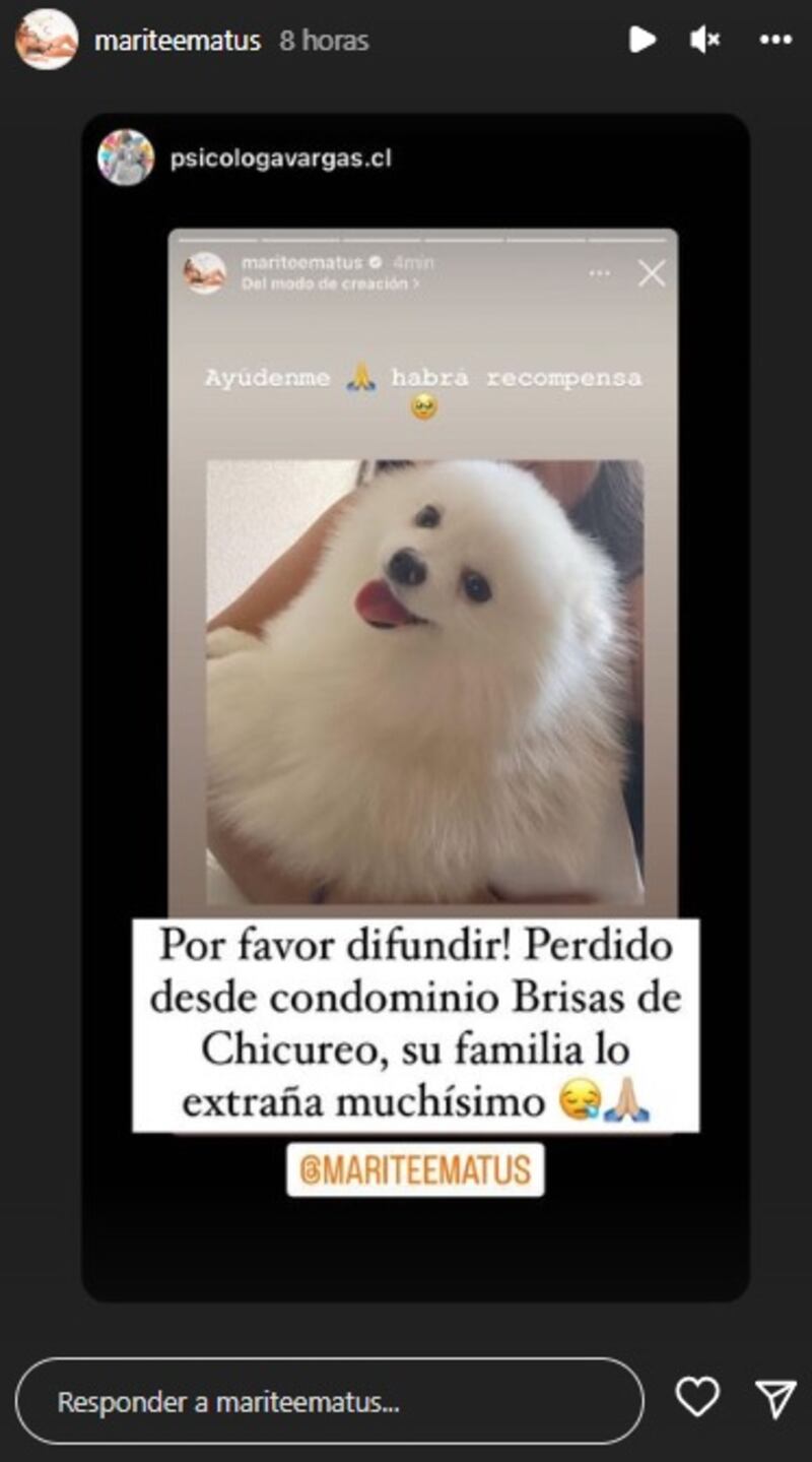 Marité Matus usó su redes sociales para dar cuenta de la desaparición de su mascota.