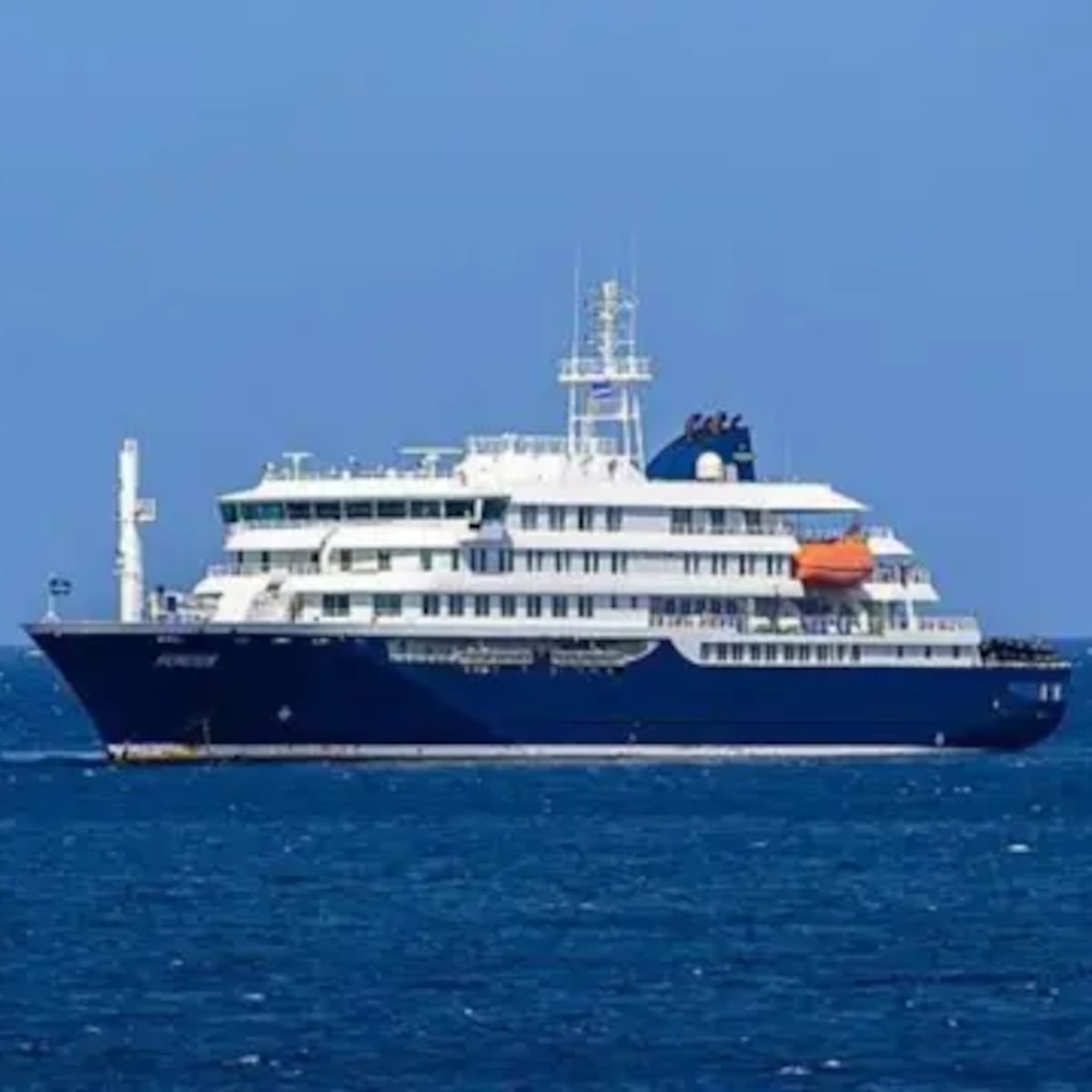Confirman brote de hantavirus en crucero con variante transmisible Confirman brote de hantavirus en crucero con variante transmisible