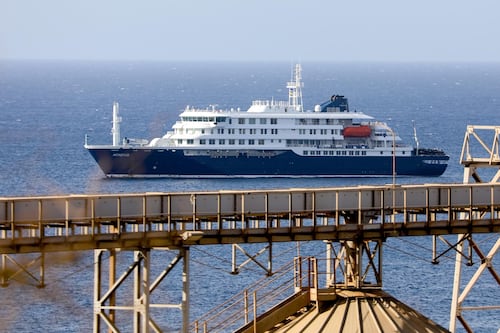 Tras casos de virus hanta en crucero: ¿Se puede transformar en una nueva pandemia?