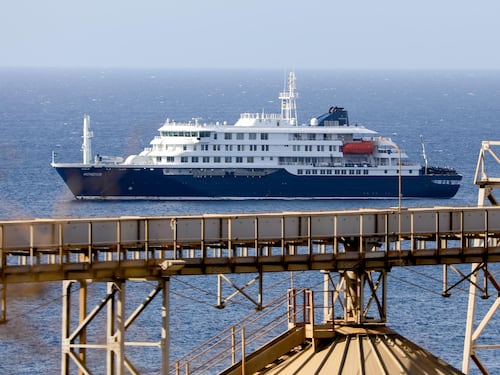 Tras casos de virus hanta en crucero: ¿Se puede transformar en una nueva pandemia?