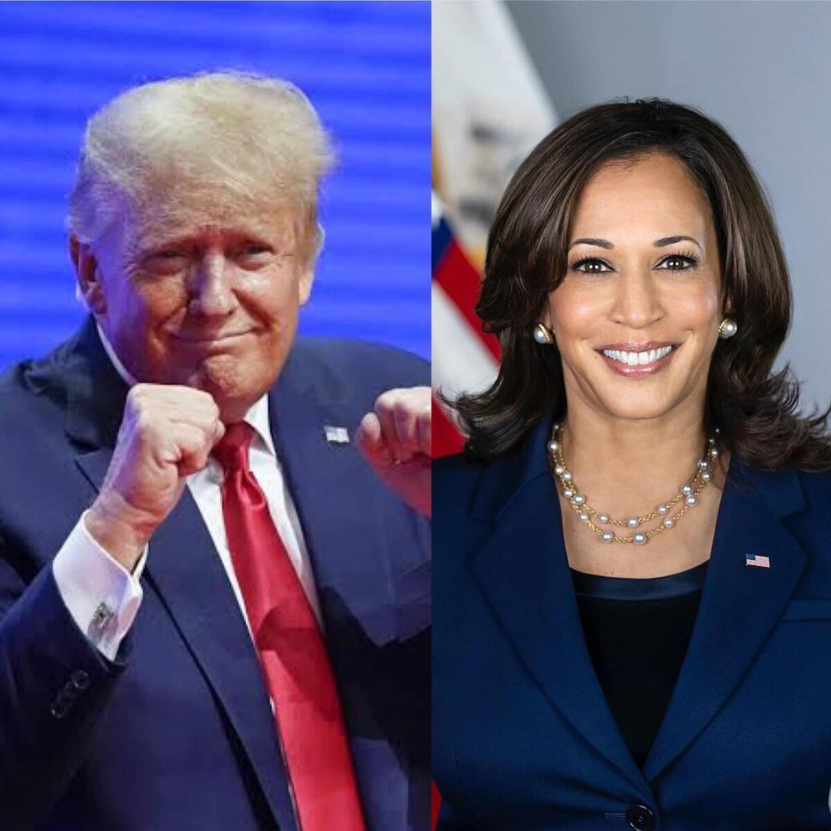 Donald Trump lidera las Elecciones Presidenciales de EE.UU. 2024 Donald Trump lidera las Elecciones Presidenciales de EE.UU. 2024