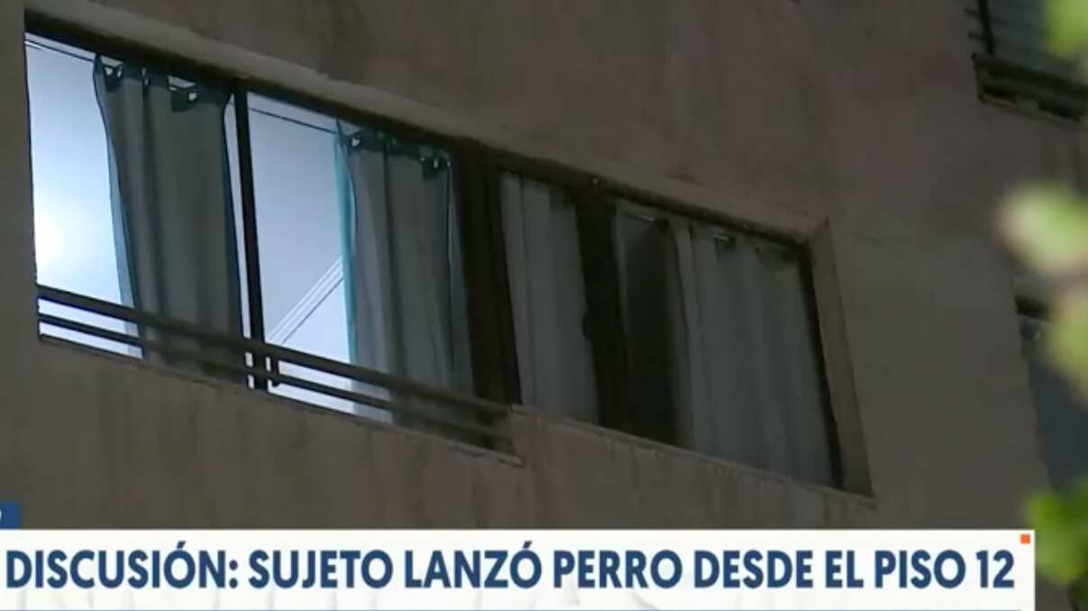 Sujeto lanzó perro del piso 12