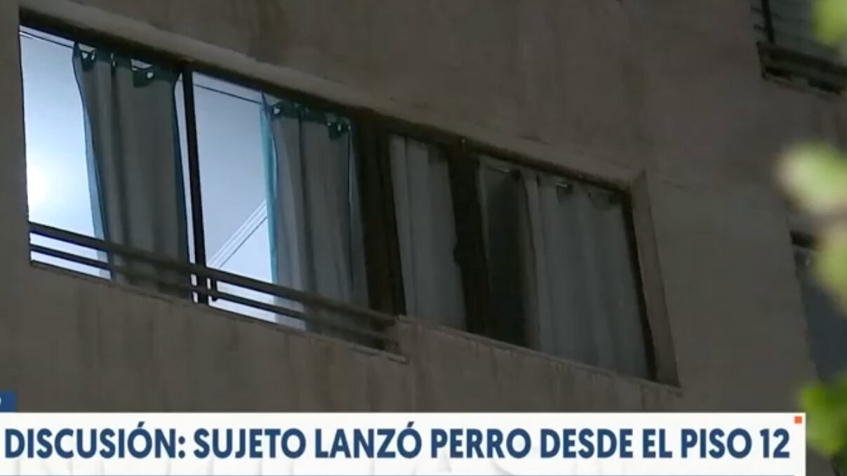 Sujeto lanzó perro del piso 12