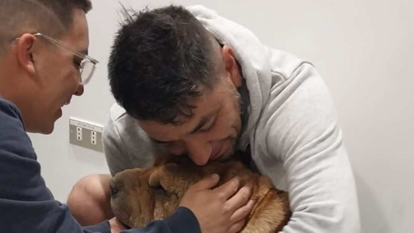 Perrita rescatada en el Metro