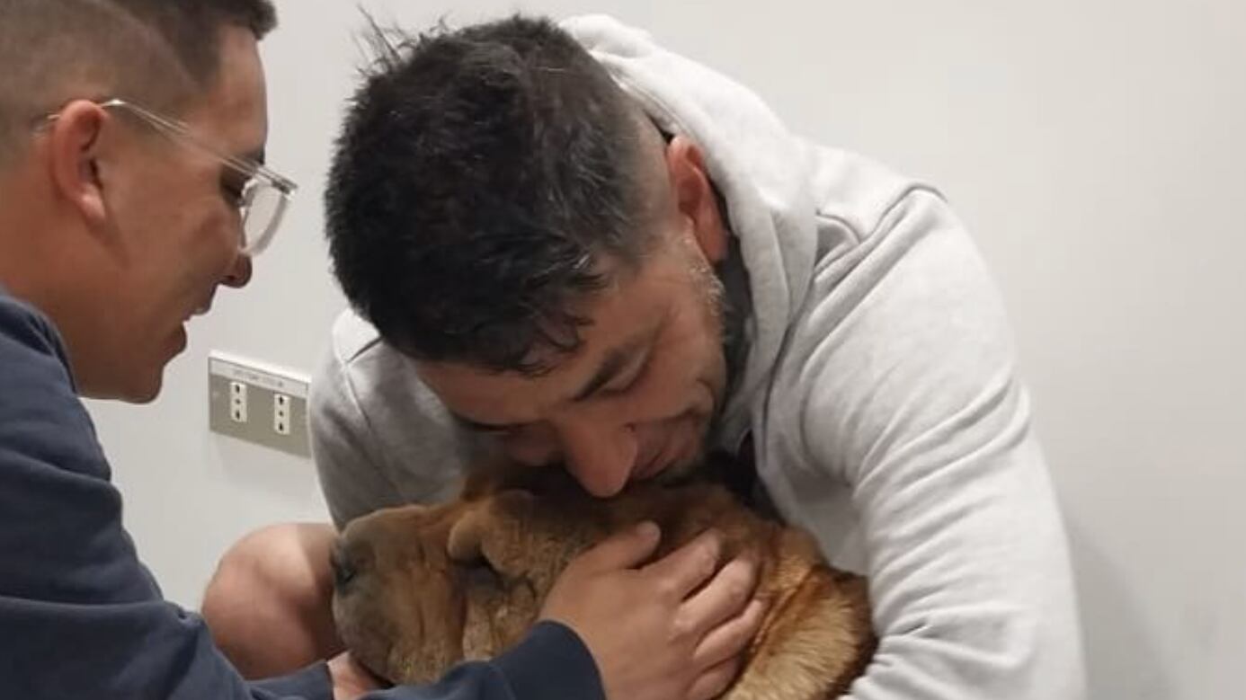 Perrita rescatada en el Metro