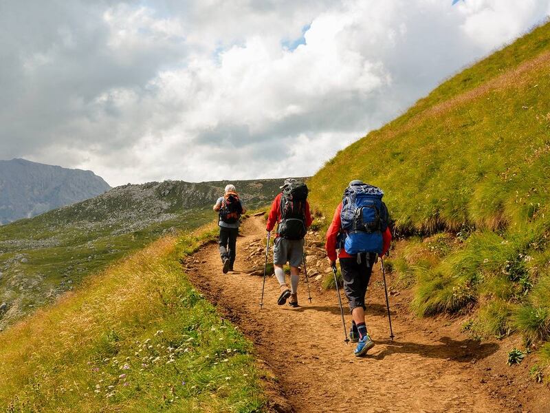 El impacto de la neuronaturaleza en la práctica del senderismo: 9 imperdibles lugares en Chile que aportan a la salud mental y física