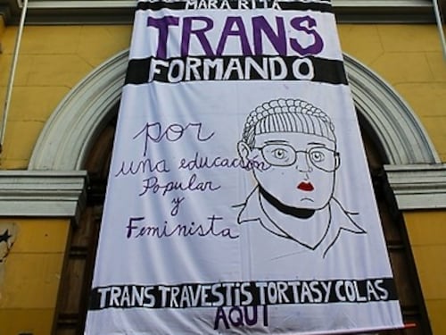 Preu Trans de la Universidad de Chile busca unir la educación con la inclusión