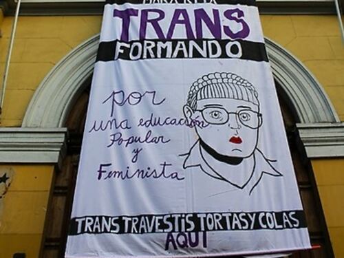 Preu Trans de la Universidad de Chile busca unir la educación con la inclusión