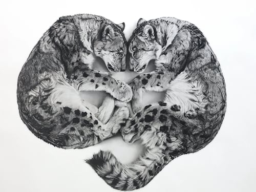 Una colaboración familiar con raíces artísticas