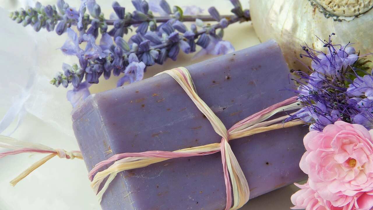 Lavanda