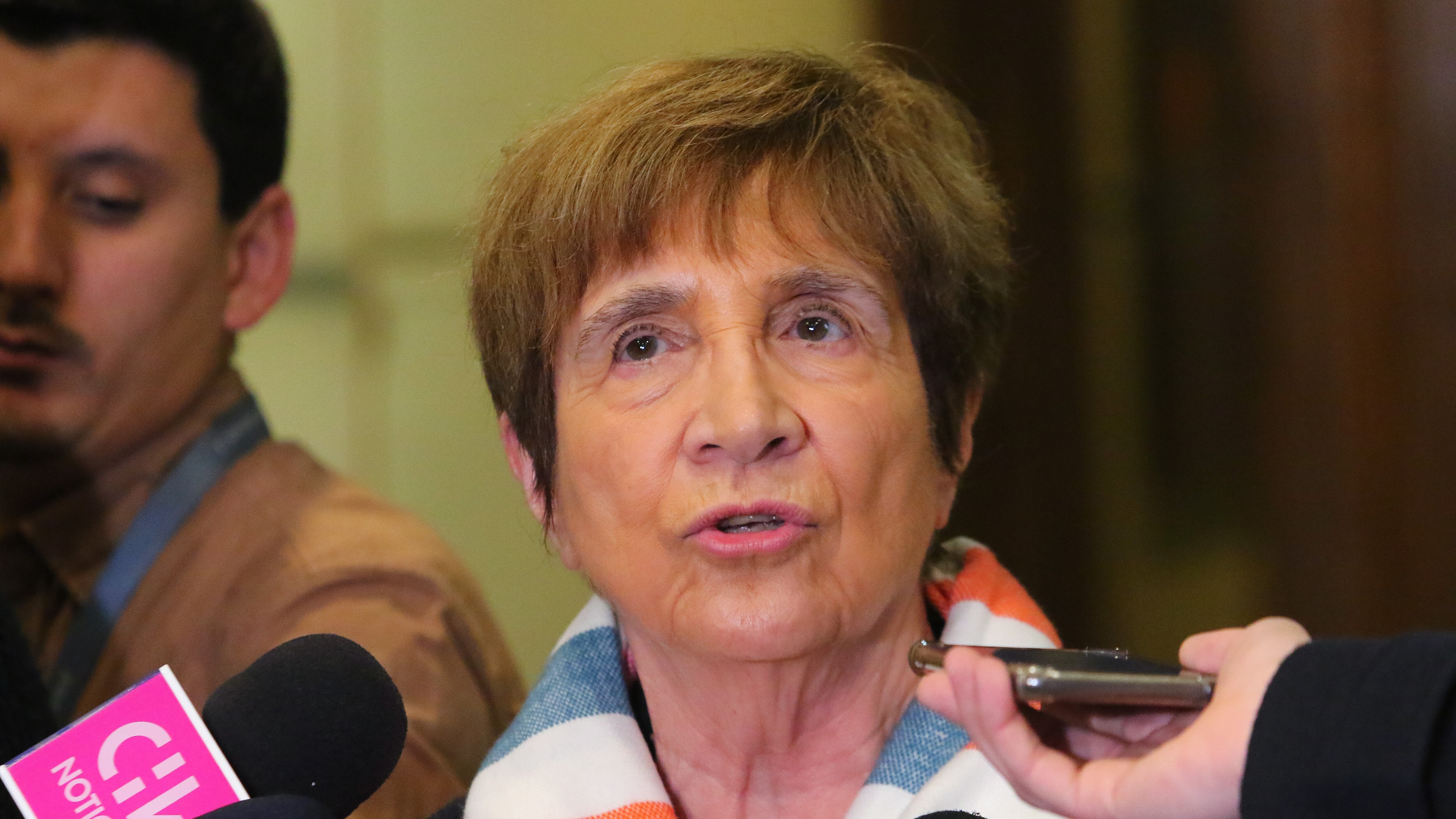 La diputada comunista Carmen Hertz. / AGENCIAUNO