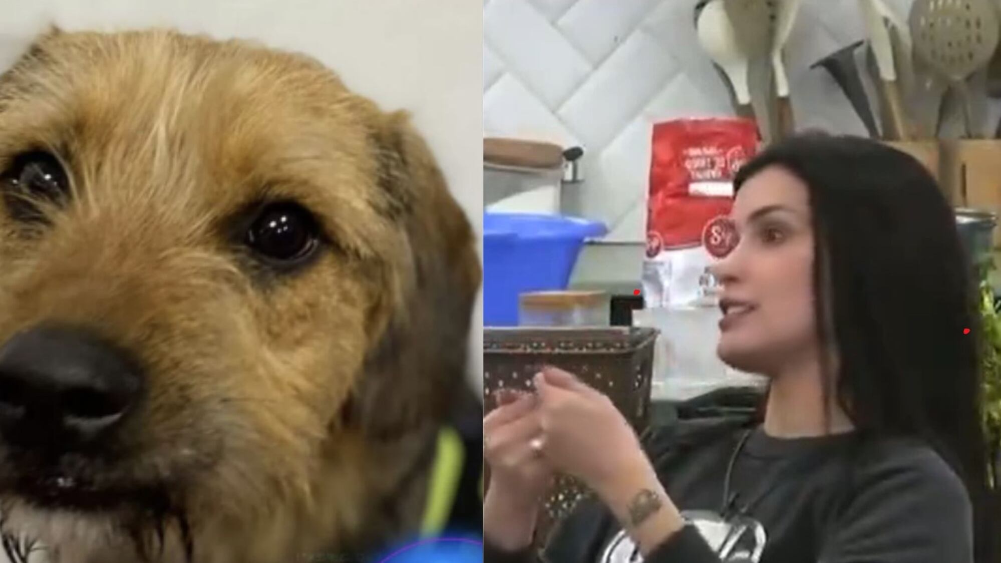 Cony Capelli y Bigote | Gran Hermano