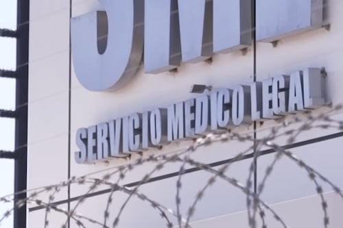 Gobierno de Kast solicitó la renuncia a la directora del Servicio Médico Legal: argumentaron pérdida legítima de la confianza