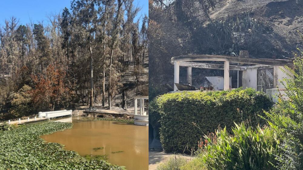 Jardín Botánico de Viña del Mar | Fuente: Instagram