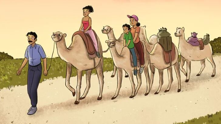 Observa bien y descubre cuál animal no es un camello.