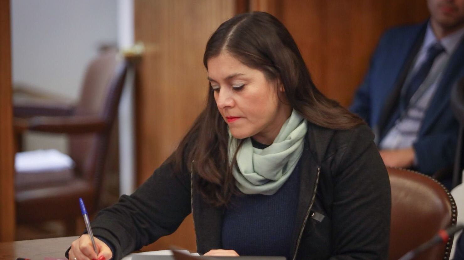 La diputada del PDG ofició al SII y la Unidad de Análisis Financiero (UAF) para investigar los recursos económicos de extranjeros para comprar o arrendar propiedades en Chile.