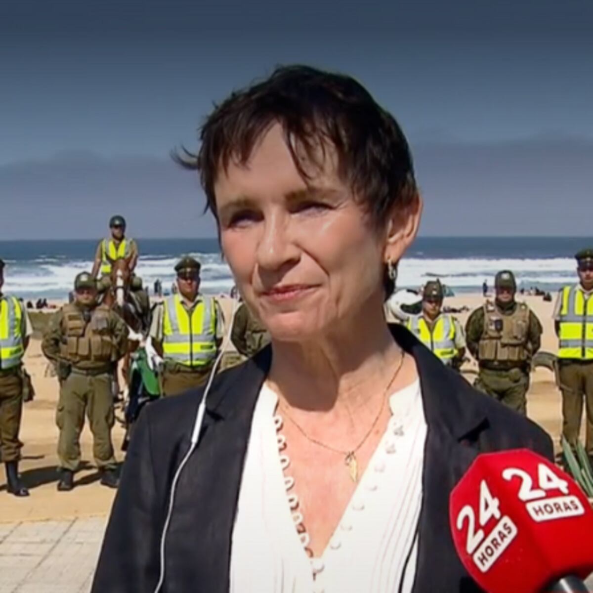 Ministra Tohá menciona posibles motivos detrás de incendios en La Araucanía Ministra Tohá menciona posibles motivos detrás de incendios en La Araucanía