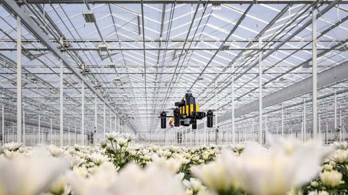 Un equipo de científicos de la Delft University of Technology desarrolló un sistema de navegación para drones inspirado en las abejas melíferas. Foto: Delft University.
