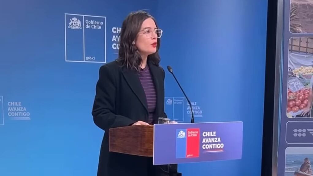 Camila Vallejo, ministra vocera de Gobierno