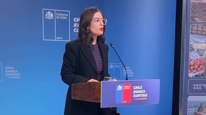 Ministra Vallejo y renuncia de Vidal a TVN por críticas de Kast: “La respetamos, pero no la compartimos”