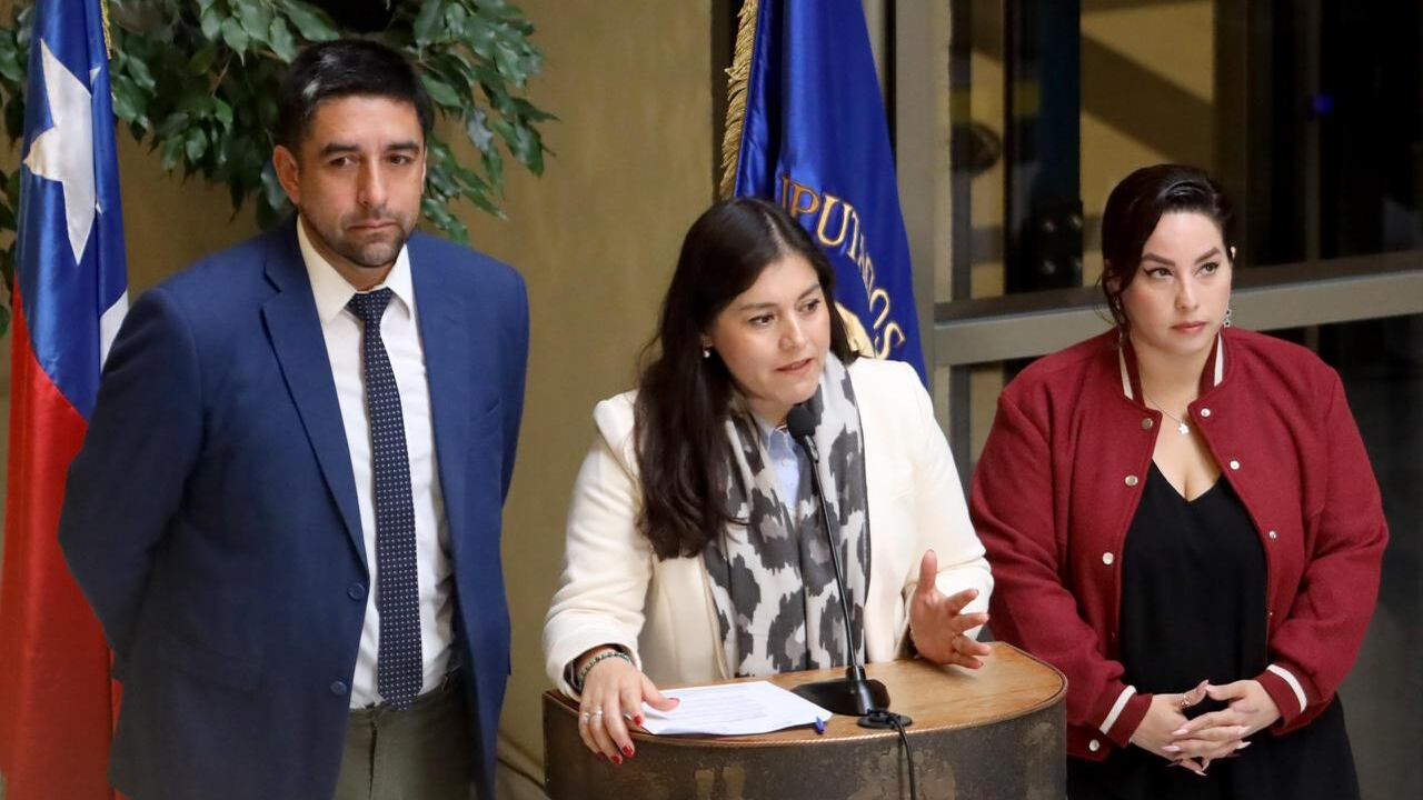 Diputada Karen Medina