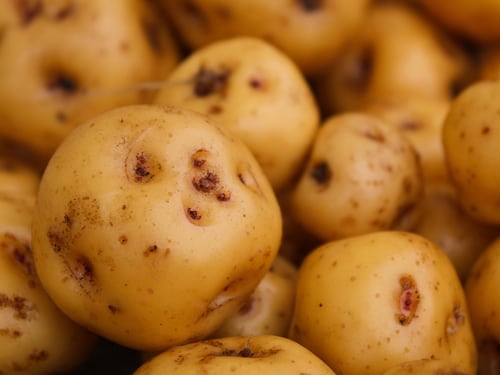 Motivos que hacen de la papa un alimento fundamental