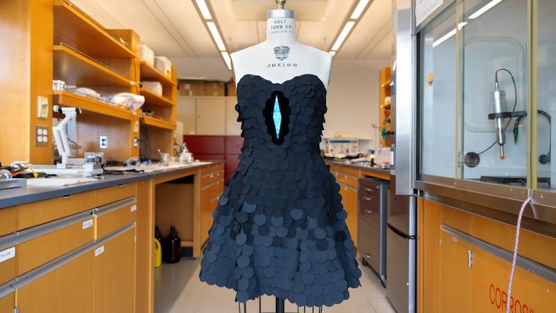 Científicos del Cornell University crearon un vestido negro absoluto inspirados en el plumaje de un ave. Foto: Ryan Young, Cornell University.