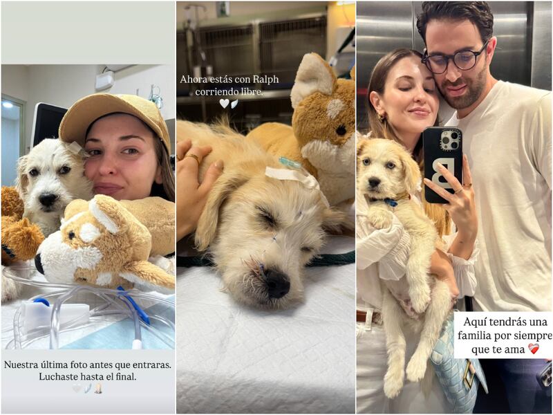 Belén Soto despidió a su perrito, Hugo