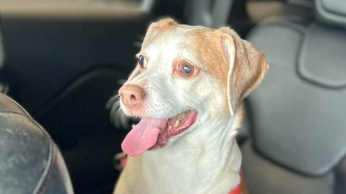 El caso indignó a todos