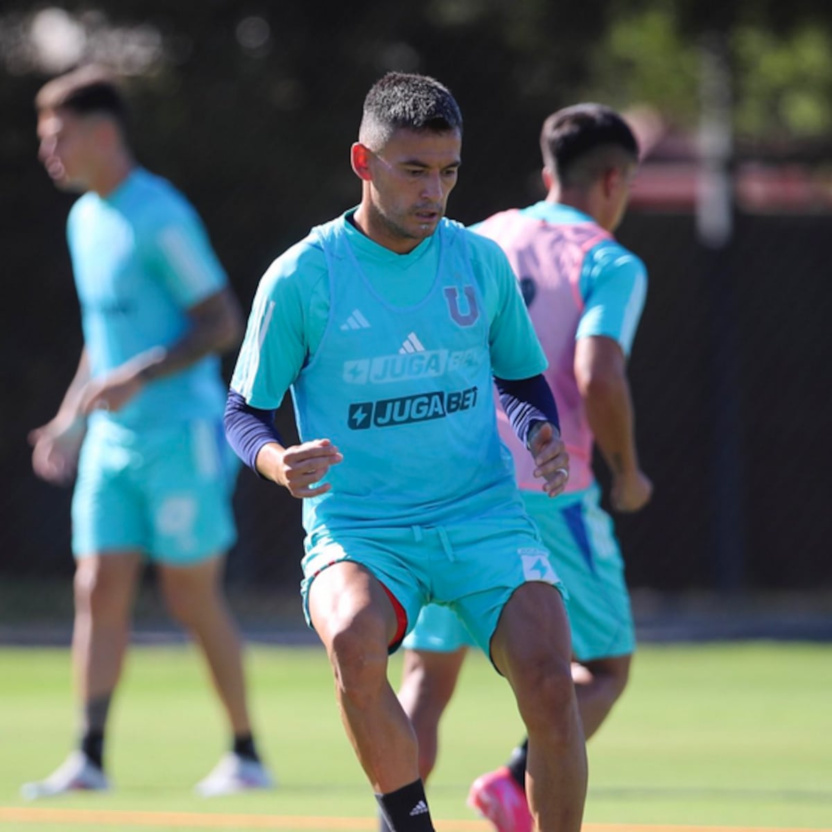La “U” vuelve a la cancha en la Copa Chile La “U” vuelve a la cancha en la Copa Chile