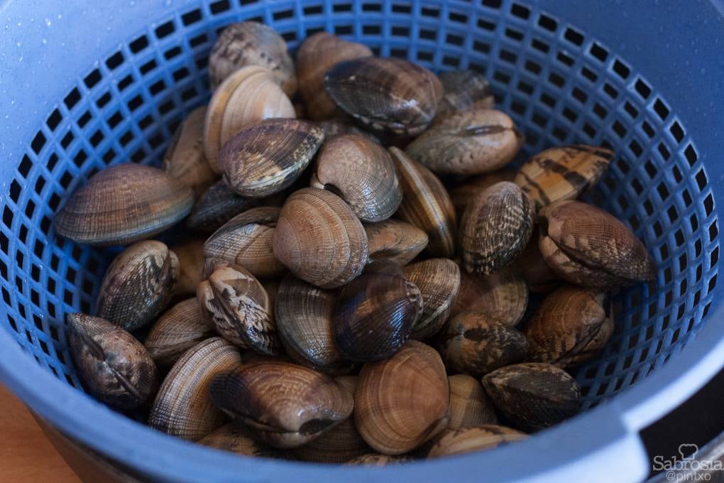 Cierre total de áreas marinas en Tongoy por toxina peligrosa en mariscos