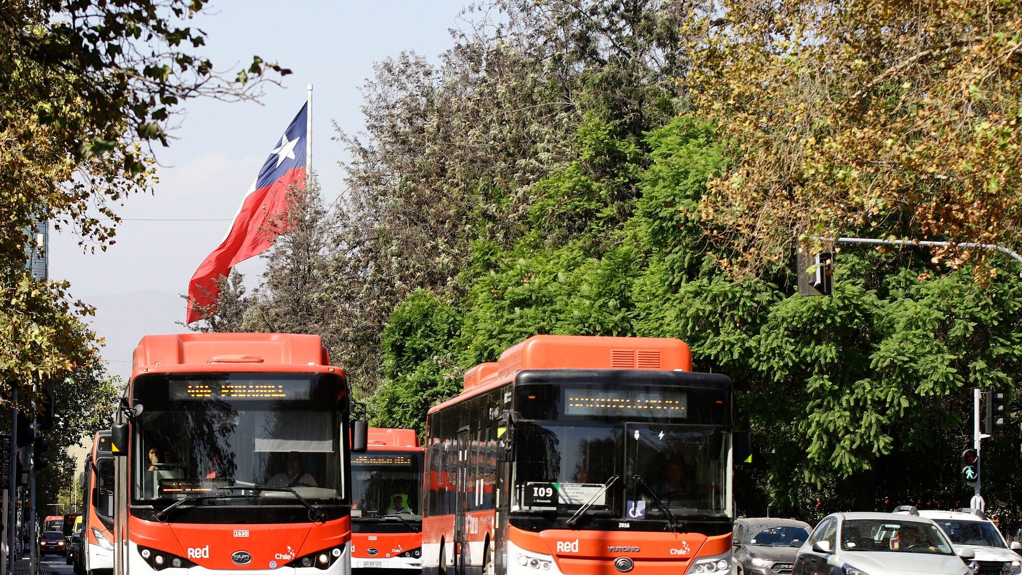 El informe indica que la contaminación acústica ha bajado considerablemente en la Alameda