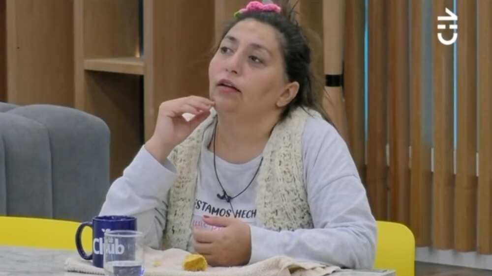 Pincoya de Gran Hermano | Captura: CHV