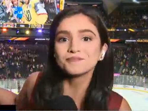 VIDEO: Reportera frena acoso de aficionado de hockey en plena transmisión