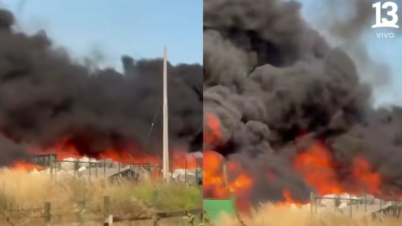 Incendio forestal en Maule | Captura: T13