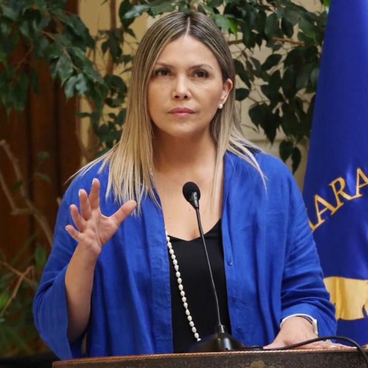 Enel rechaza compensaciones por cortes de luz: Diputada Pérez lo califica de inaceptable Enel rechaza compensaciones por cortes de luz: Diputada Pérez lo califica de inaceptable