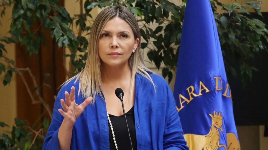 La parlamentaria criticó el argumento jurídico de Enel para evadir el pago de indemnizaciones por los prolongados cortes de luz ocurridos en agosto de este año.