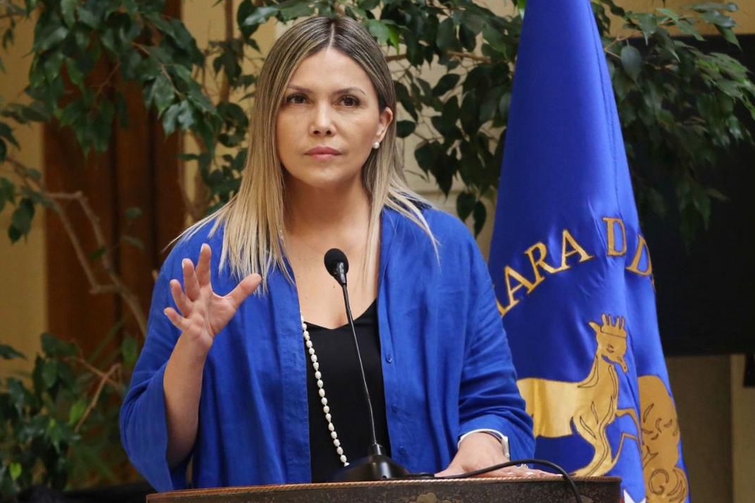 Diputada Pérez calificó de “inaceptable” argumento de Enel para rechazar recursos en su contra por compensaciones por cortes de luz