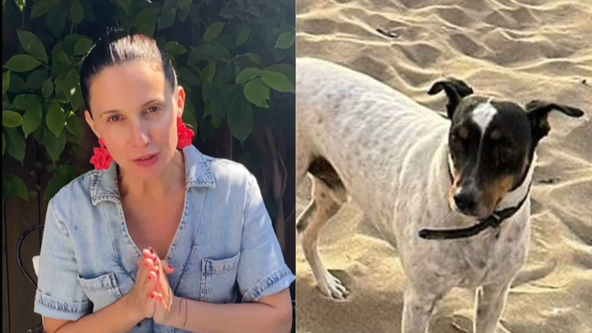 Luz Valdivieso | Instagram